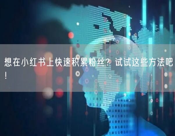 想在小红书上快速积累粉丝？试试这些方法吧！