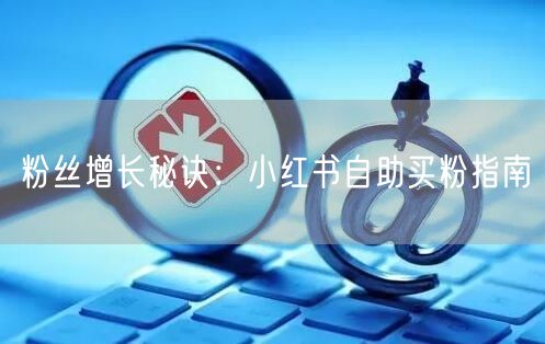粉丝增长秘诀：小红书自助买粉指南
