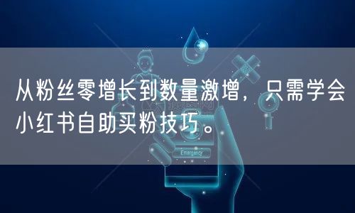 从粉丝零增长到数量激增，只需学会小红书自助买粉技巧。