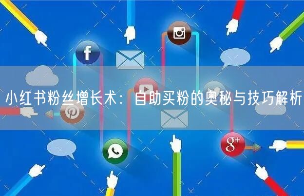 小红书粉丝增长术：自助买粉的奥秘与技巧解析