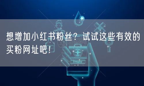 想增加小红书粉丝？试试这些有效的买粉网址吧！