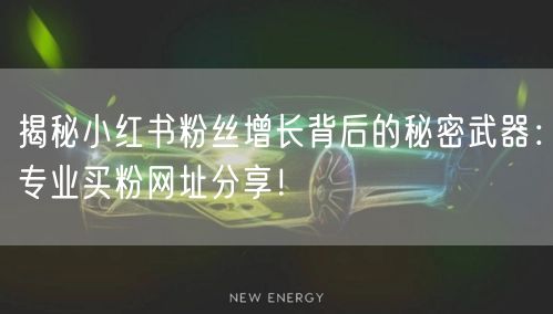 揭秘小红书粉丝增长背后的秘密武器：专业买粉网址分享！