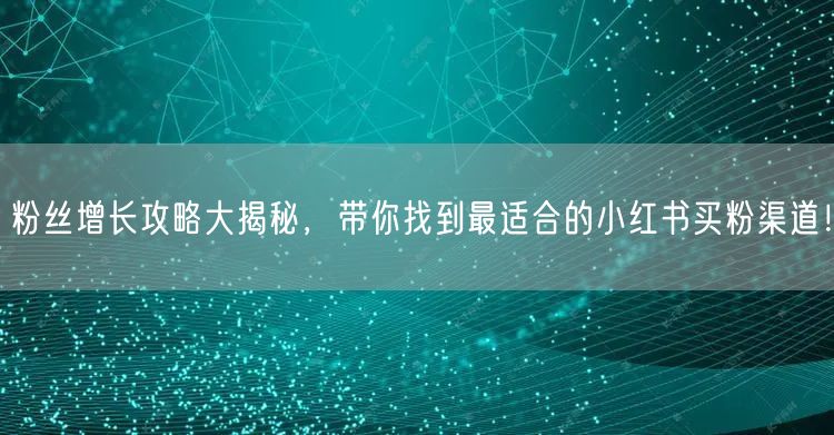 粉丝增长攻略大揭秘，带你找到最适合的小红书买粉渠道！